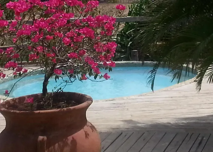 El Sabanero Eco Tamarindo